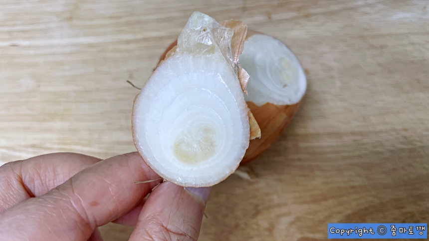 양파-뿌리-나중에-자르기