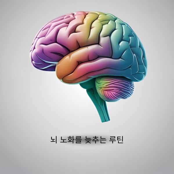 뇌 노화를 늦추는 루틴/gpt