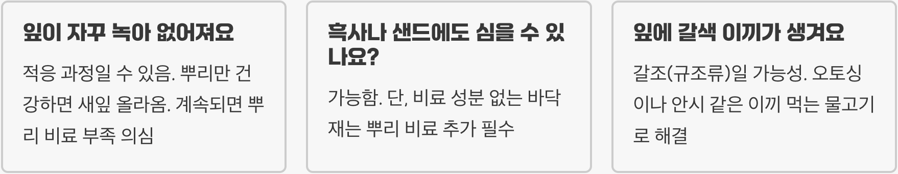 발리스네리아 키우기 A to Z (조명, 비료, CO2 관리)