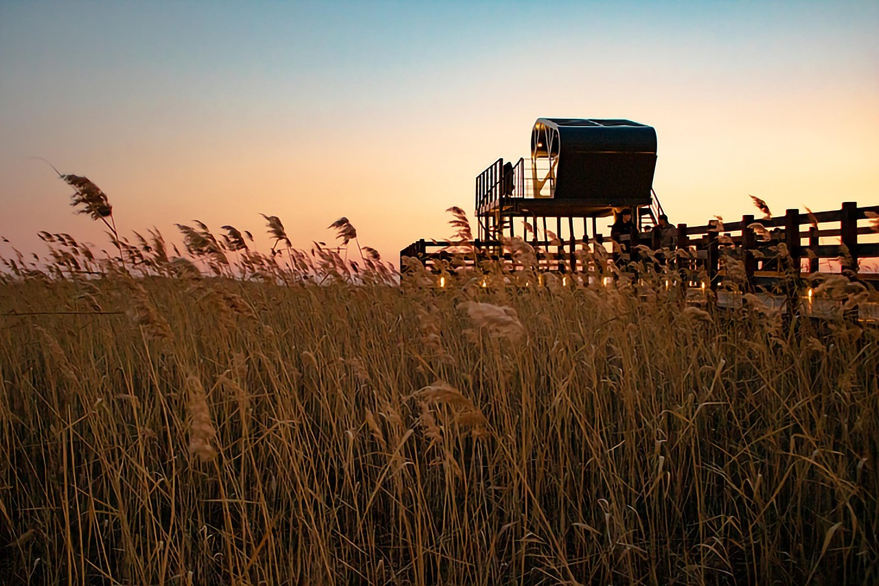 국내 바다 커플여행지 다대포