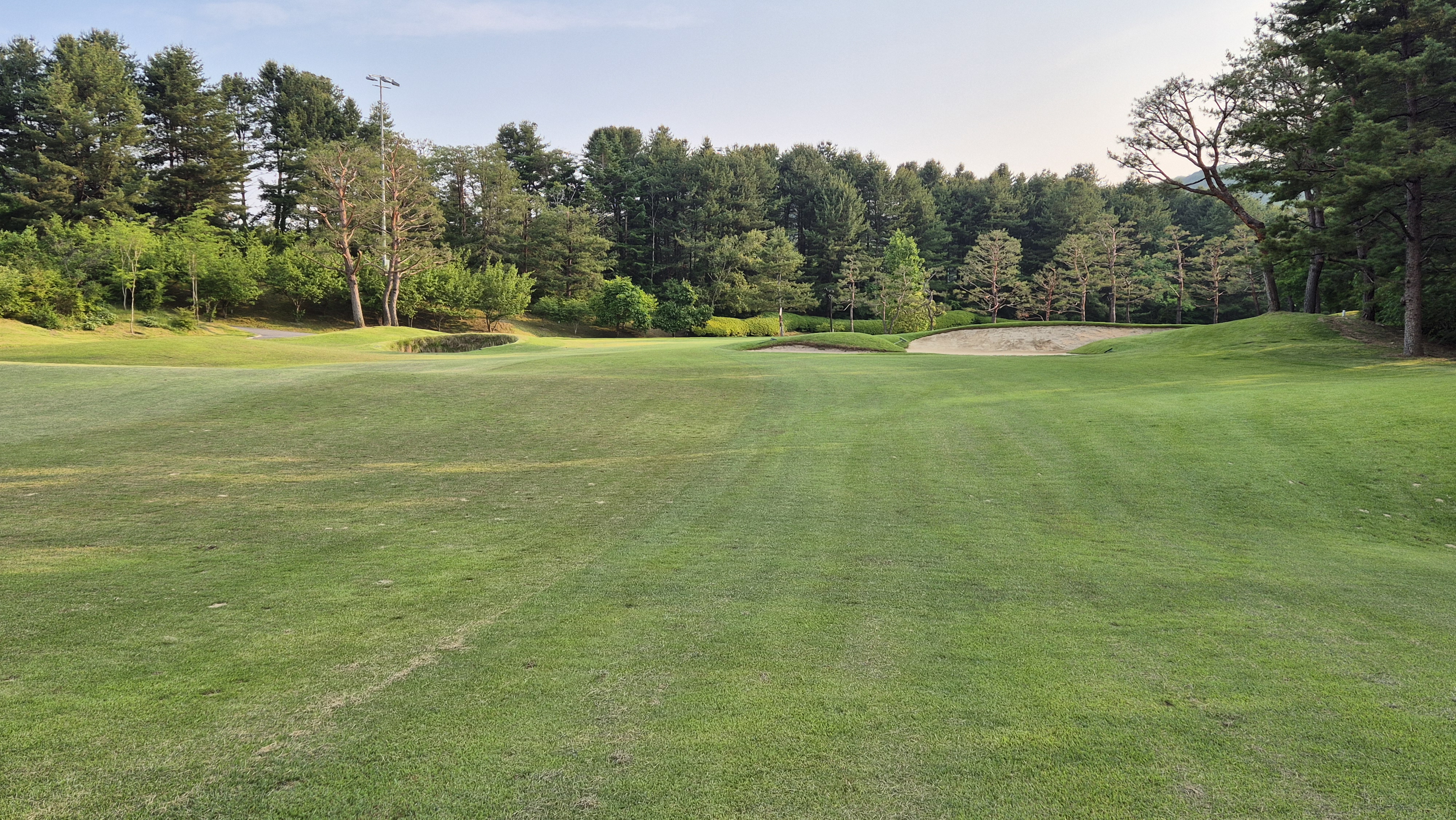 이포cc 라운드 후기