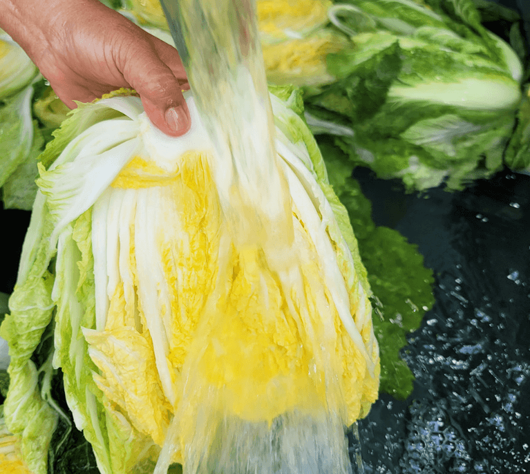 괴산 절임배추 20kg 사전예약 가격비교