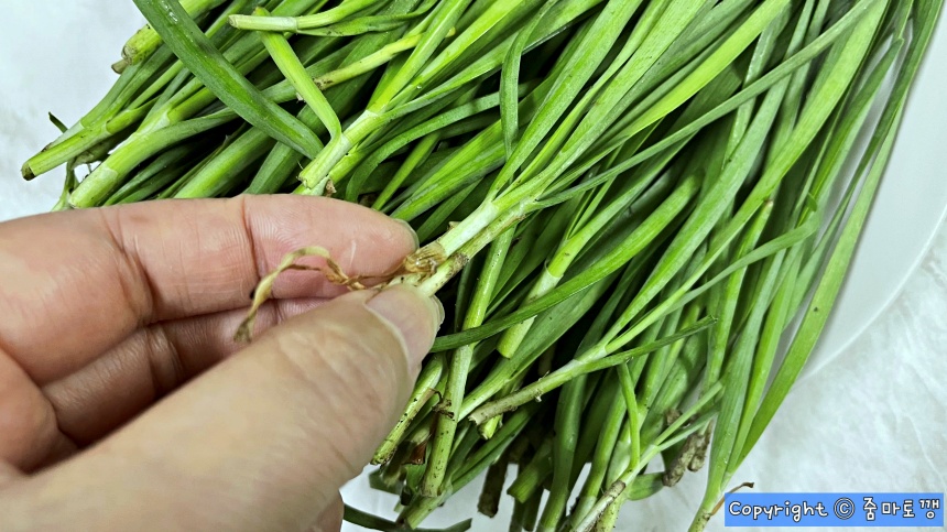 부추-손질