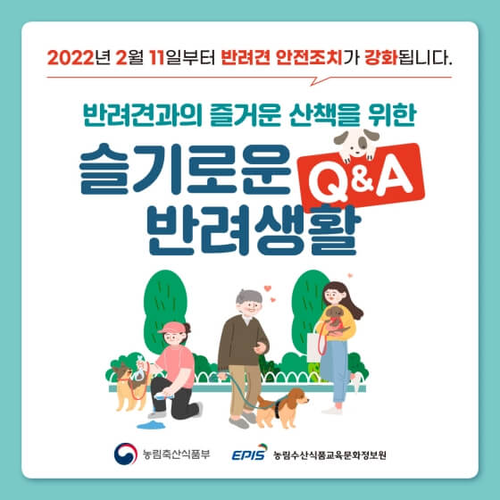 반려견안전조치