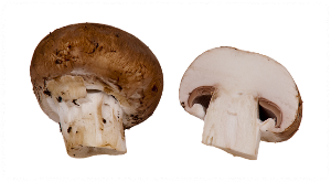 신장에 좋은 음식 안 좋은 음식 알아보기