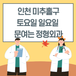 인천 미추홀구 토요일 일요일 정형외과 진료 병원 리스트