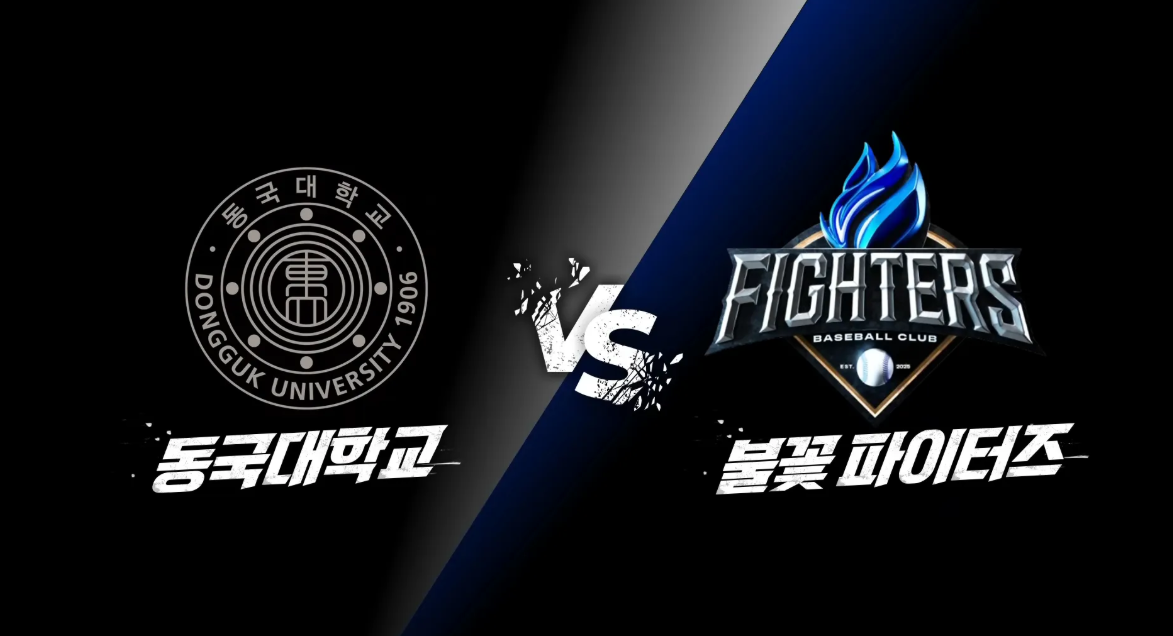 불꽃야구 직관 예매 방법 (+일정 가격 방송시간)