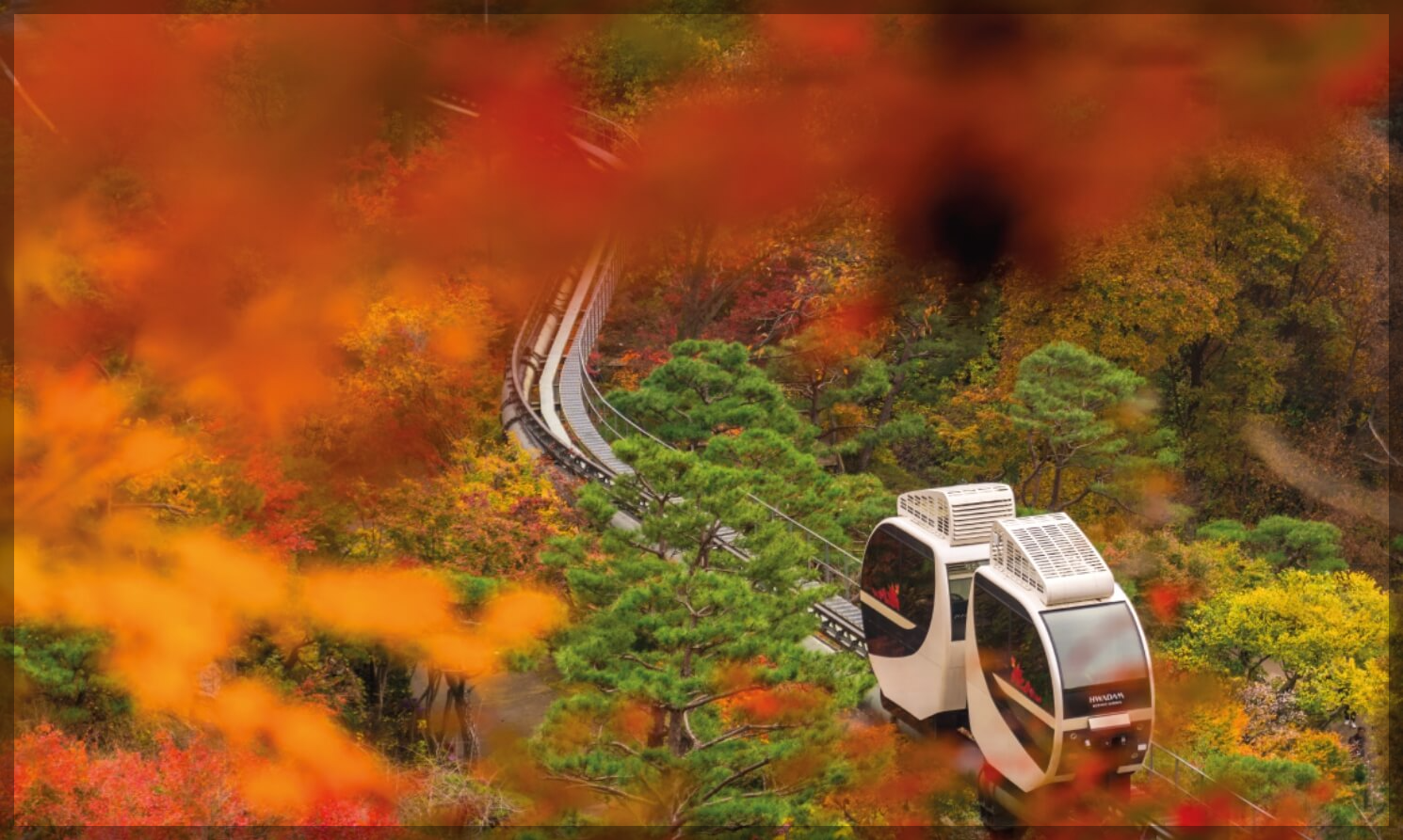 화담숲 데이트 코스 완벽 가이드: 자연 속 힐링과 맛집 탐방