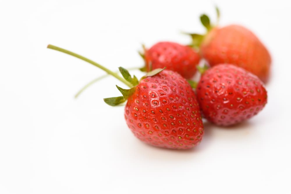 매향딸기는 좀더 둥근 형태와 신맛을 가지고 있다.