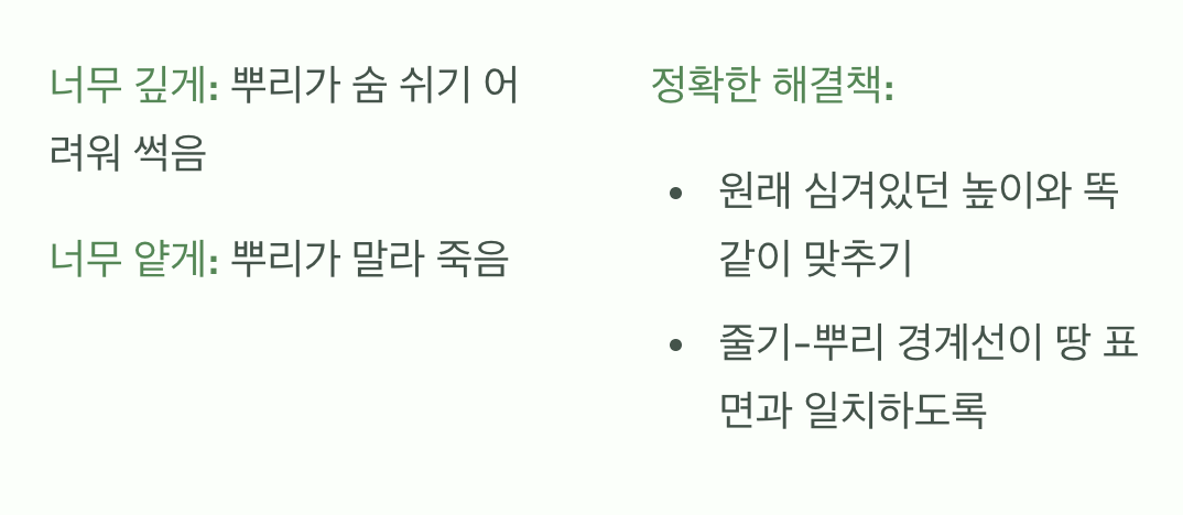 나무의 운명을 결정하는 높이 조절