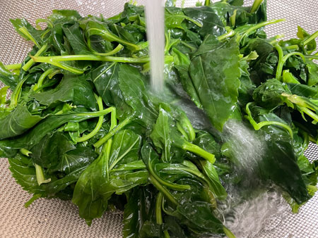 데친 취나물 찬물 샤워