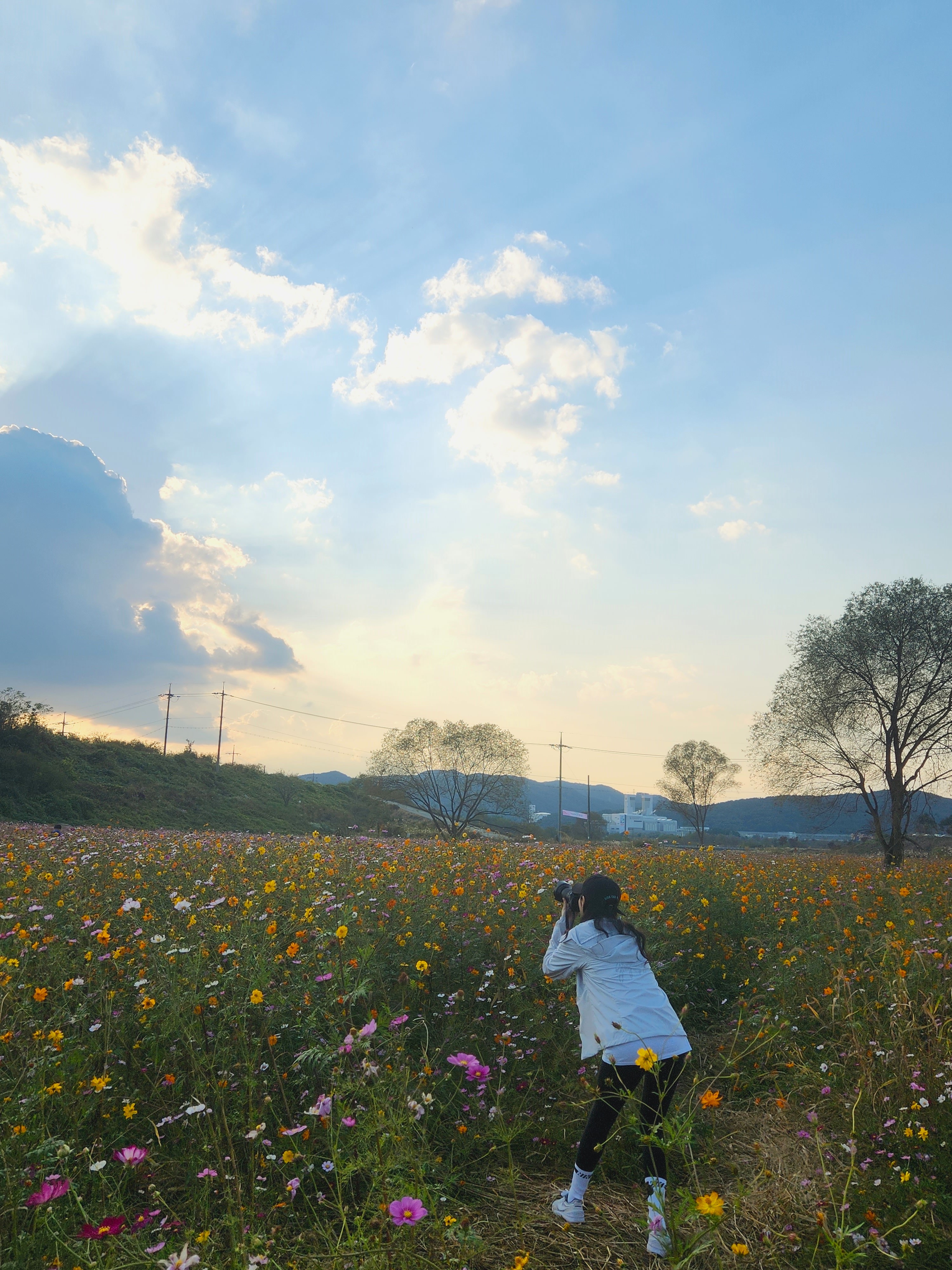 ์ฝ์ค๋ชจ์ค ๋ง๊ฐ '์ธ์ข
์ฒ๋ฐ๊ทผ๋ฆฐ๊ณต์'