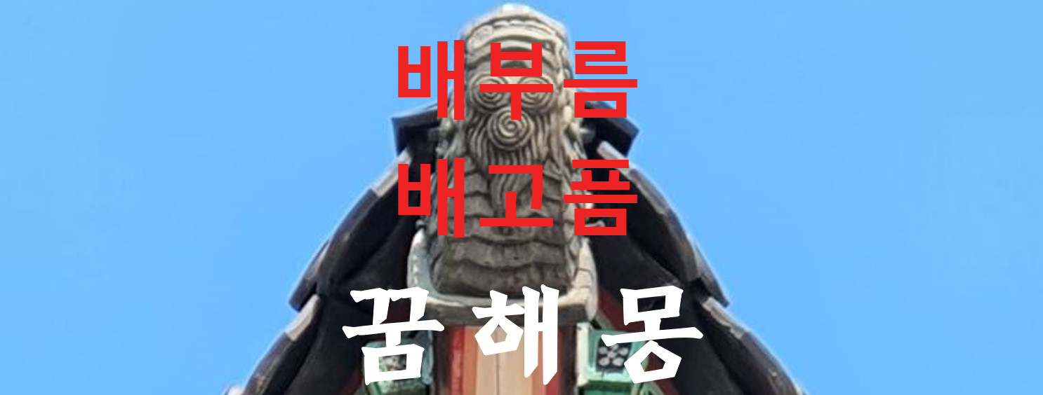 꿈해몽