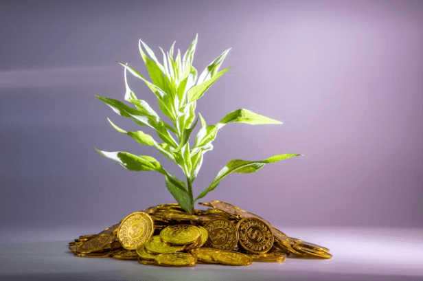 커버드콜 ETF: 고배당의 비밀과 현명한 투자 전략