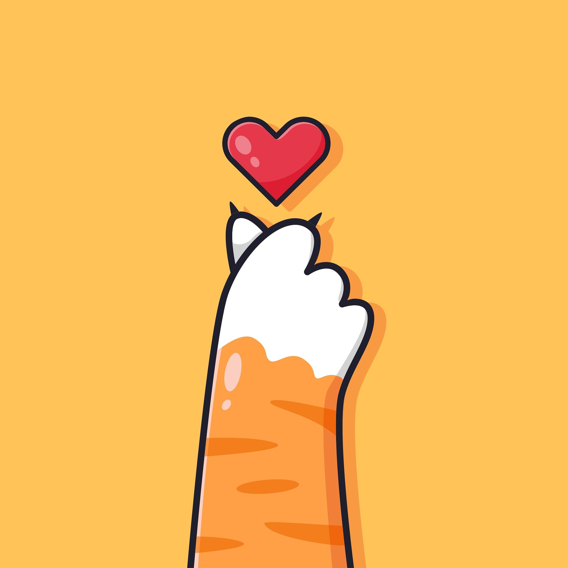고양이 손과 하트 이미지