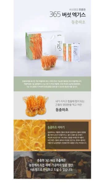 약용식물 동충하초 자연의 신비 건강 효능과 활용_11