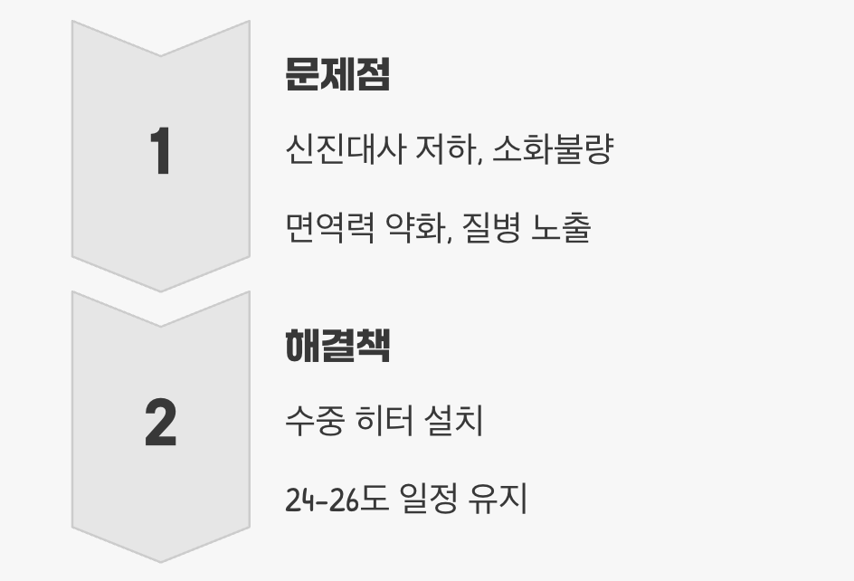 2. 차가운 물, 베타에겐 겨울왕국