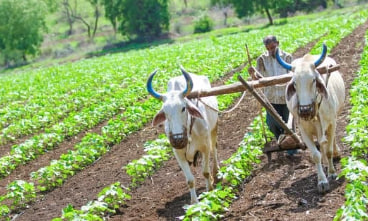 2024 농민수당 신청자격&amp;#44; 방법&amp;#44; 기간&amp;#44; 지원금액