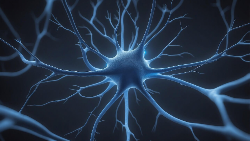 기억의 본질 - 저장이 아니라 ‘편집’이다.