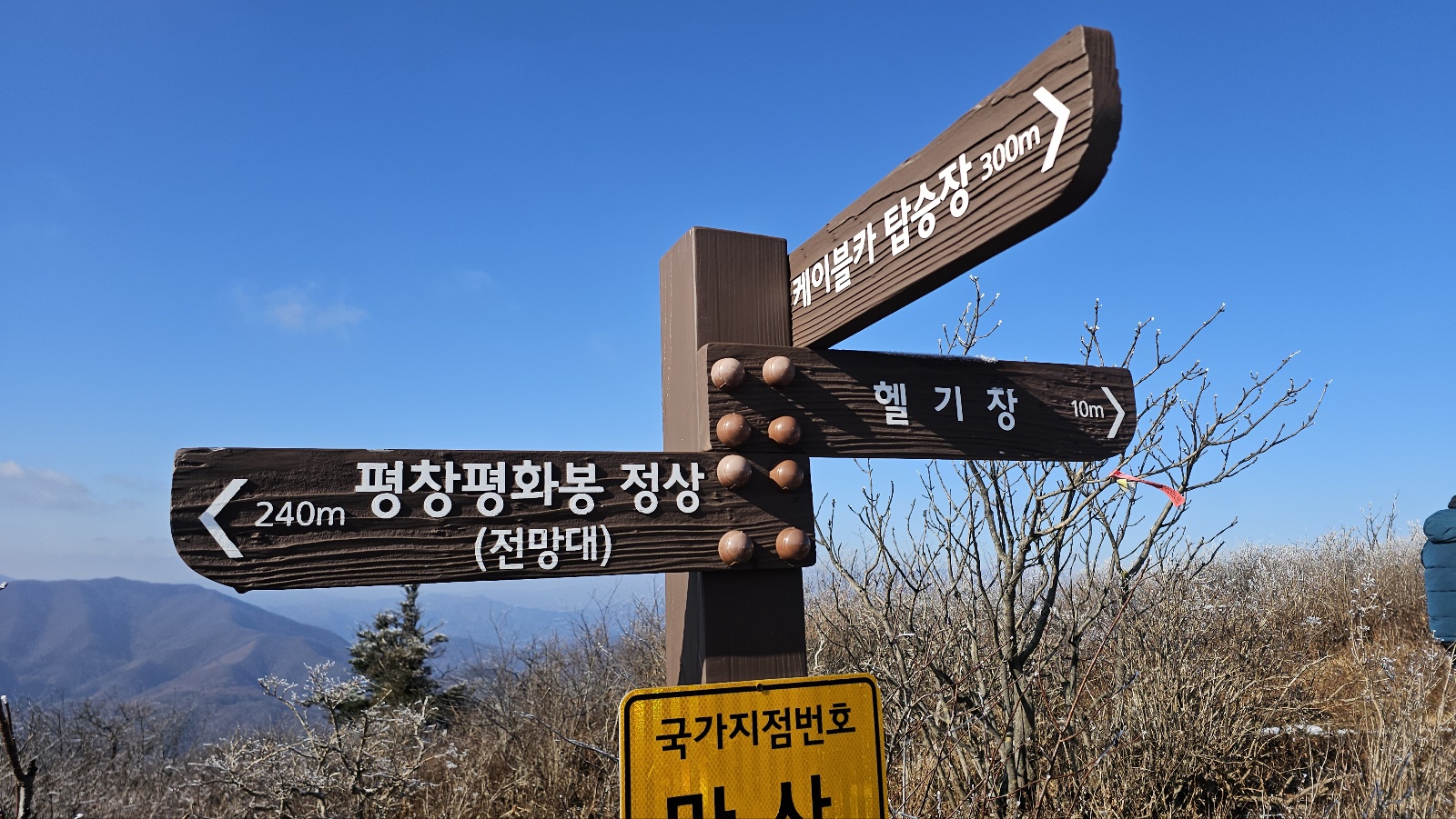 [36개월 아들과 함께 평화봉]