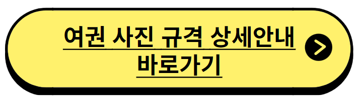 온라인 여권 재발급