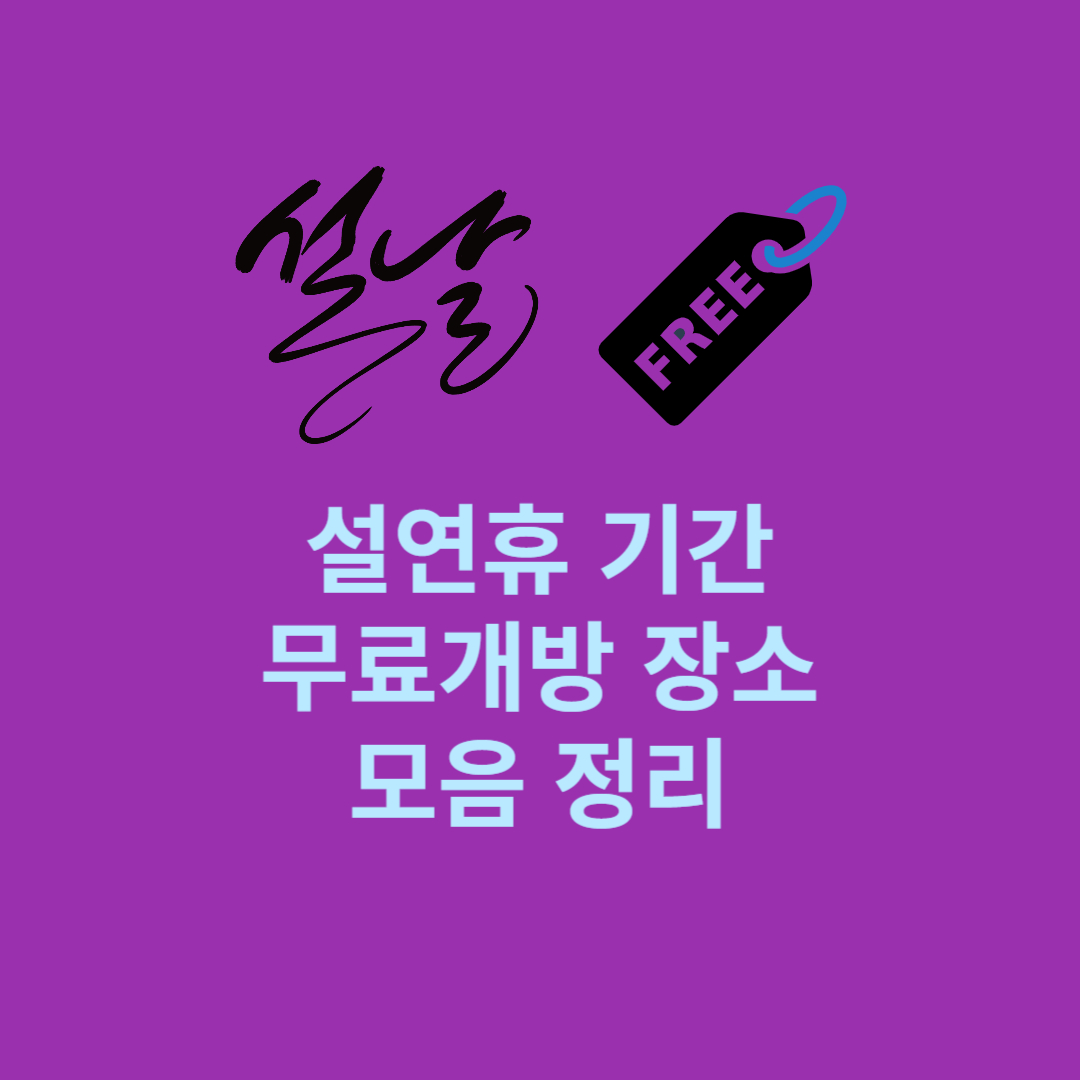 설연휴 기간 무료개방 장소