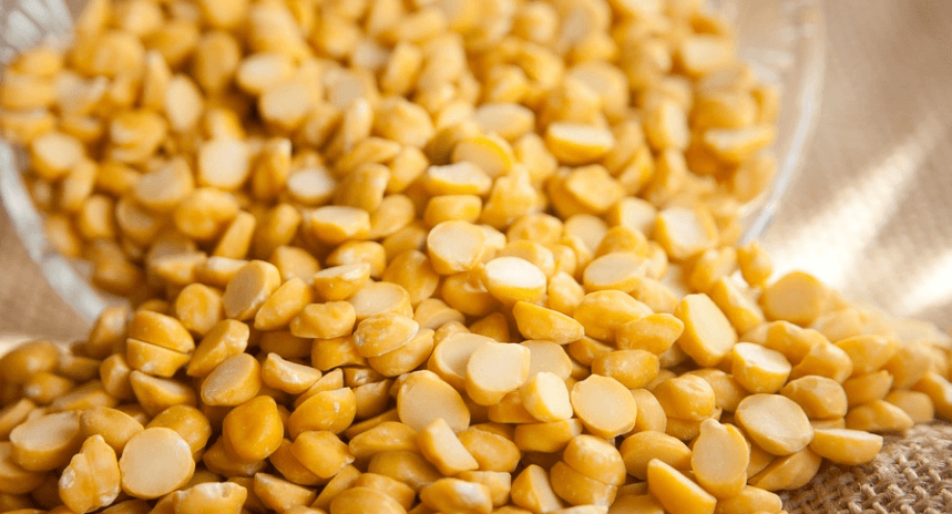 여러 가지 렌틸콩 사진 - 11