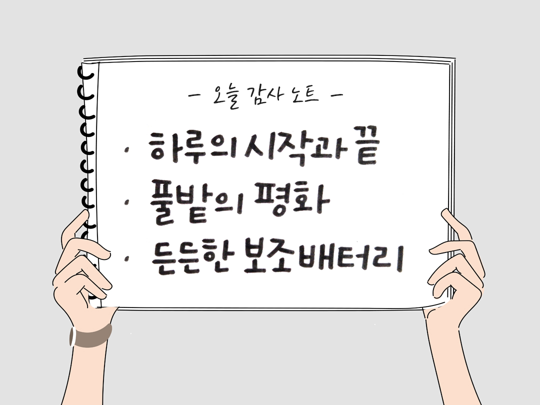 오늘 감사한 순간들, 일상 속 숨겨진 보물찾기