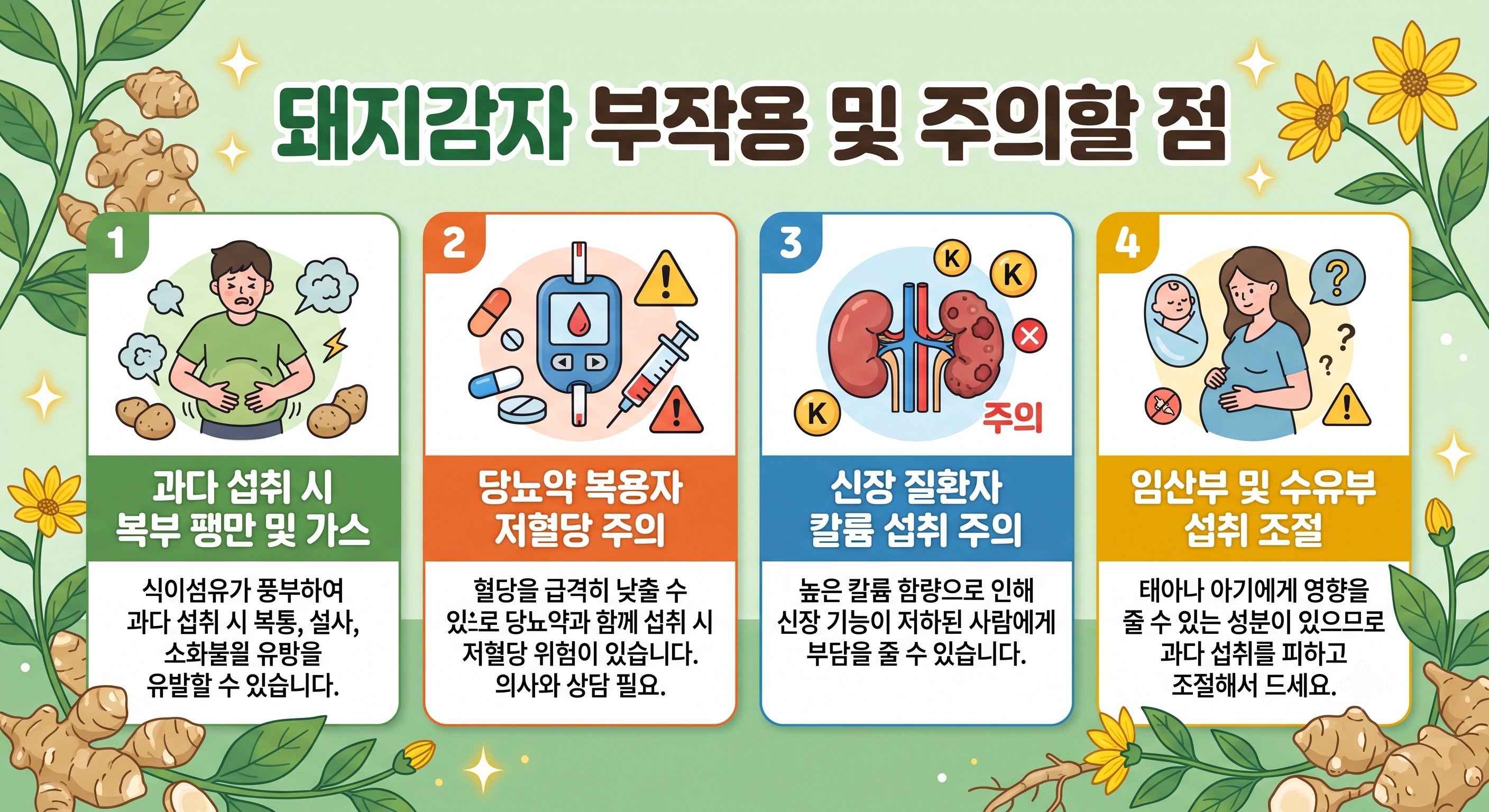 돼지감자 부작용 및 주의할 점