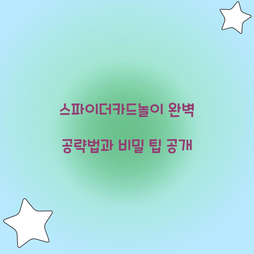 스파이더카드놀이
