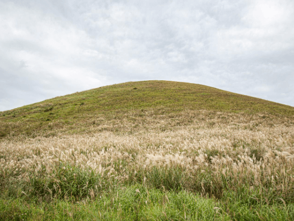 제주도 여행 가을 겨울 가볼만한 곳 오름 추천 입장료 소요시간 반려동물 동반