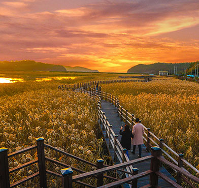 여수-시티투어버스-제2코스