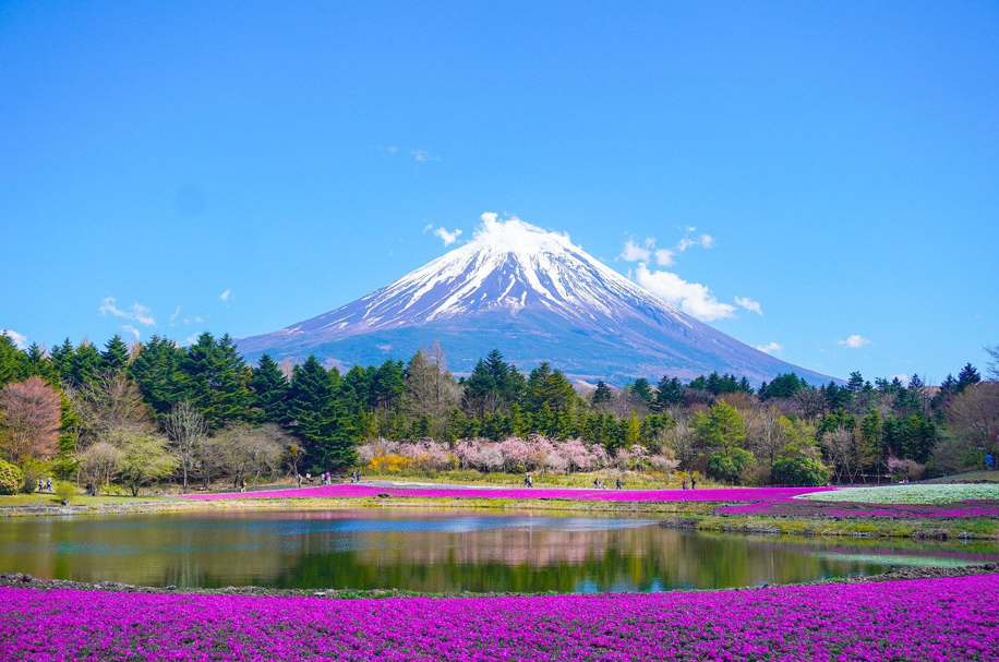 봄날에 후지 산 사진