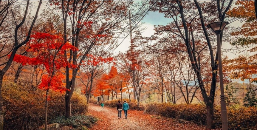좋은여행