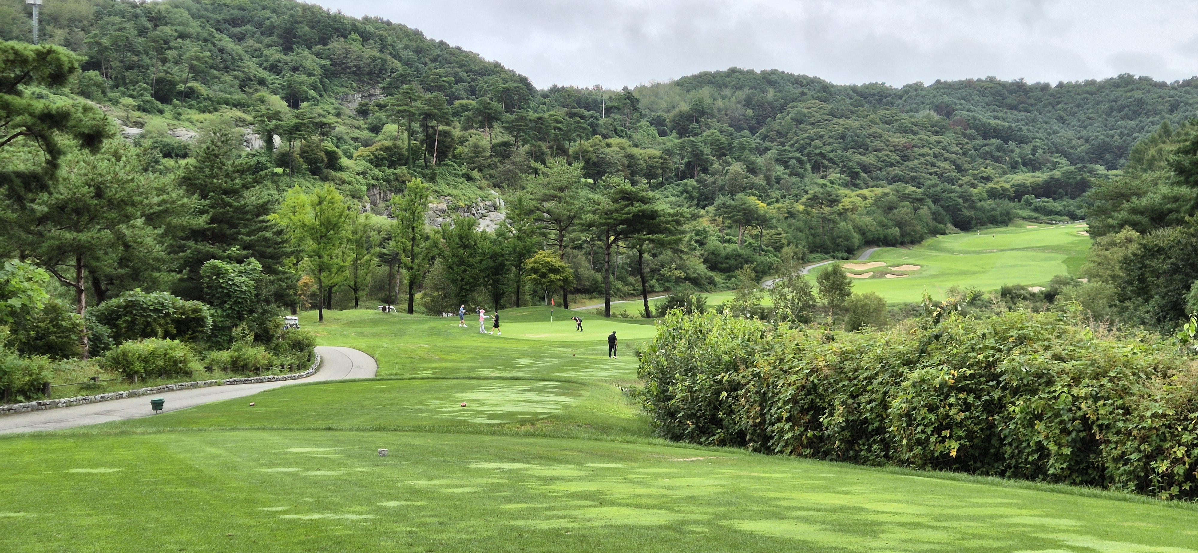 더플레이어스cc