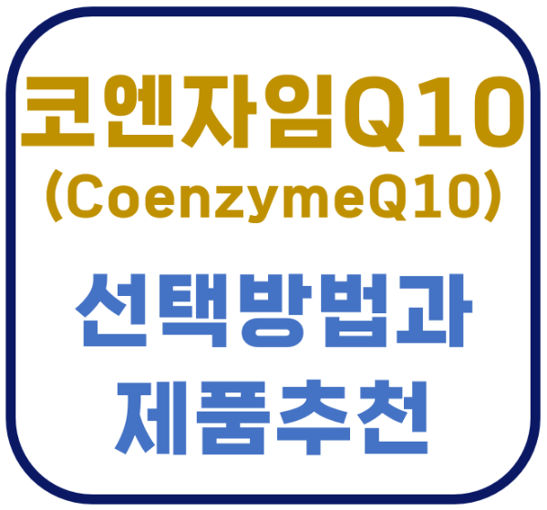코엔자임 Q10 코큐텐 COQ10 영양제 심혈관 고혈압 스타틴 심장 에너지 미토콘드리아 유비퀴놀 유비퀴논 선택방법 제품추천