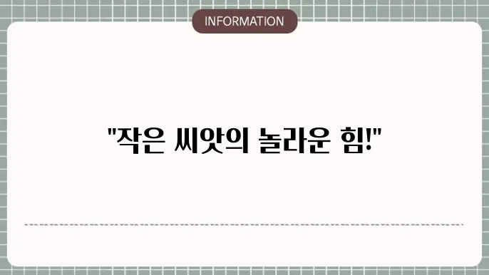 들깨의 효능, 작은 씨앗이 품은 놀라운 건강 비밀!