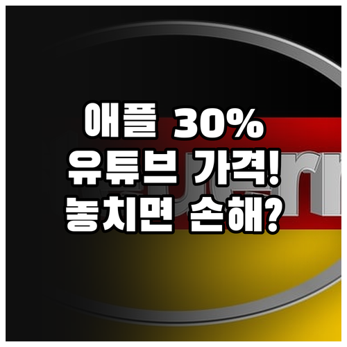 애플 수수료 30%의 비밀 유튜브 라..