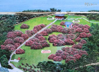 서천 마량리 동백나무 숲 개화 코스_6