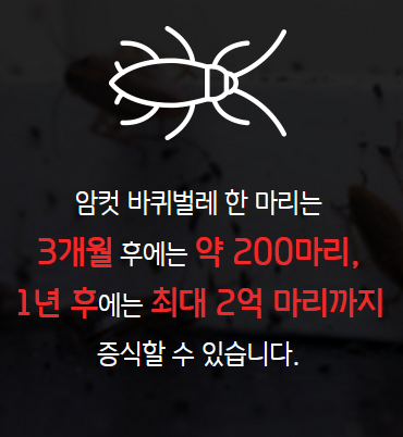 오래된 아파트 바퀴벌레 퇴치방법