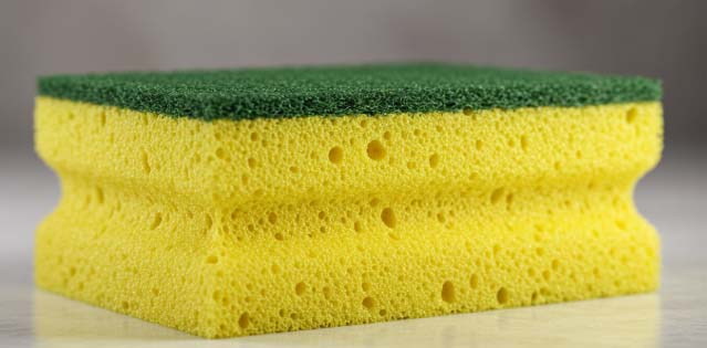 왜 수세미 살균이 중요한가?