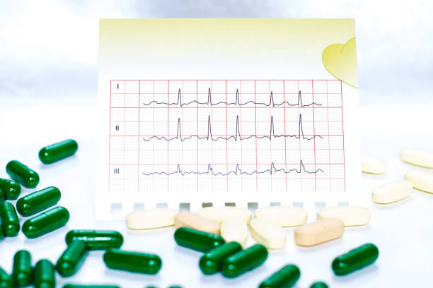 기초대사량을 높이는 음식