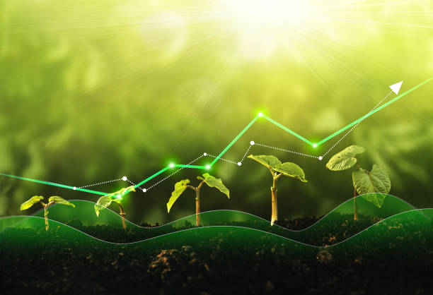 농업 데이터 기반 의사결정 돕는 센서 분석법