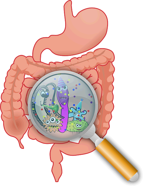 장 건강을 지키는 식탁 위의 비밀