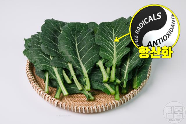 코 옆 볼 빨개짐 주사비 좋은 음식 케일 브로콜리 청경채