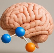 포스파티딜 세린 효능