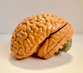 치매 초기증상 8가지 원인과 예방법