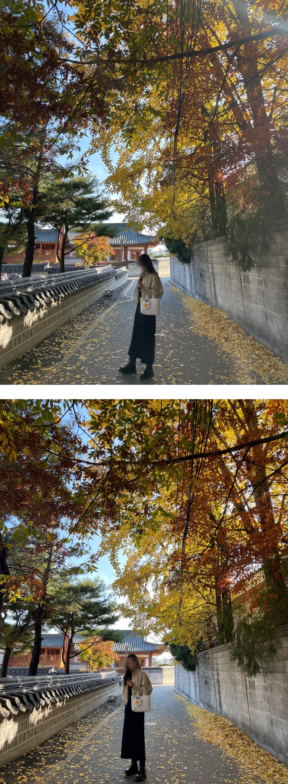 시엔느 패딩백 (Sienne Padding Bag) - 착용샷