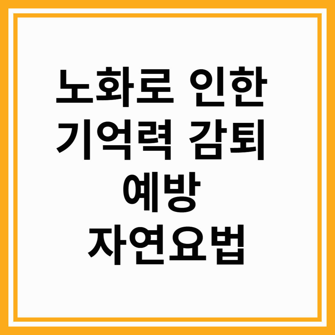노화로 인한 기억력 감퇴 예방 자연요법
