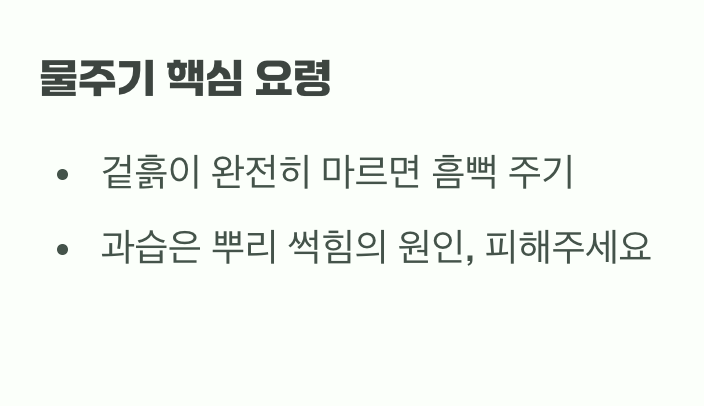 과한 사랑은 금물, 물주기 요령